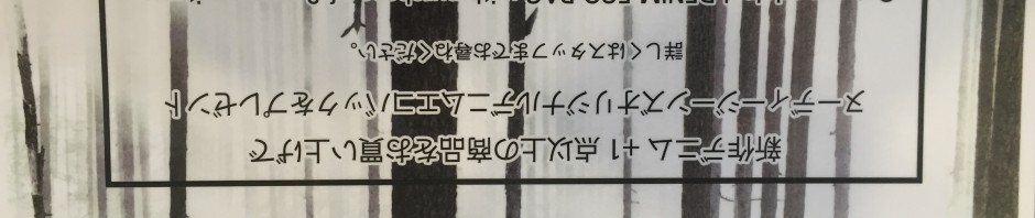 夏はこれからですが、、、秋冬の新作ご紹介です‼